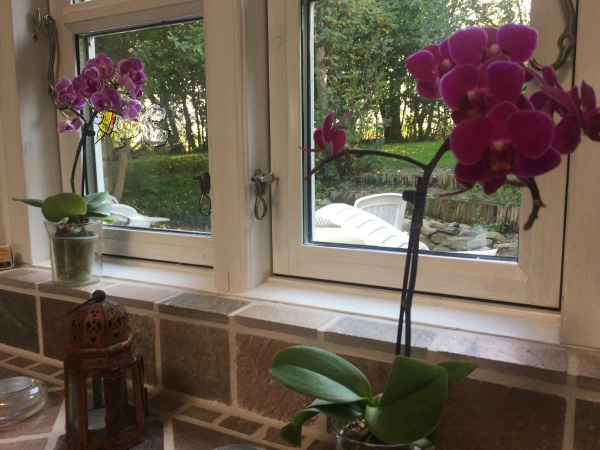 Rosenlund Bed & Breakfast Skovsgårde Eksteriør bilde